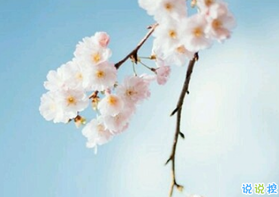 最好朋友領(lǐng)證結(jié)婚的祝福說說 2019好閨蜜結(jié)婚的說說優(yōu)美好聽2