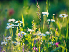 朋友圈個(gè)性說(shuō)說(shuō)簡(jiǎn)單一句話(huà) 趁著年輕把能干的壞事干了吧