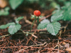 2019谷雨發(fā)微信短信的祝福語(yǔ)合集 谷雨節(jié)氣送祝福說(shuō)說(shuō)