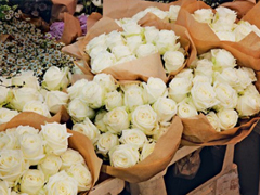 獨(dú)特感到驚艷的個(gè)性說(shuō)說(shuō) 獨(dú)一無(wú)二很有魅力的微信說(shuō)說(shuō)