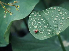 2019谷雨節(jié)氣朋友圈早安心語(yǔ) 谷雨美好心情說(shuō)說(shuō)