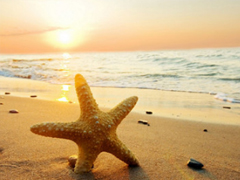 2019最流行的個(gè)性說(shuō)說(shuō)合集 獨(dú)一無(wú)二的微信說(shuō)說(shuō)經(jīng)典版