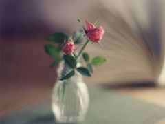 生活好累好無奈的說說 煩心事太多的說說