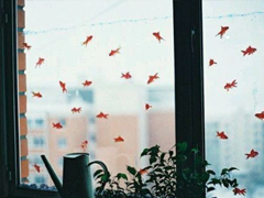 抖音有創(chuàng)意的個性說說大全 獨一無二很特別的說說2019