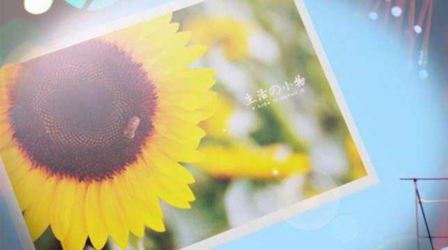 2019二月你好三月再見說(shuō)說(shuō)心情短語(yǔ) 三月請(qǐng)對(duì)我好一點(diǎn)唯美說(shuō)說(shuō)