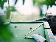 2019豬年除夕祝福語說說簡短 致所有人的豬年暖心祝福