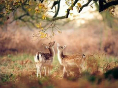 2019二月早安心語(yǔ)簡(jiǎn)單一句話 二月你好正能量心情說(shuō)說(shuō)