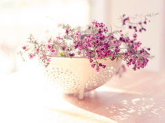 2019谷雨微信祝福語說說 谷雨快樂心情說說大全