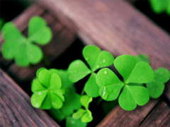 迎接2019元旦說(shuō)說(shuō)適合發(fā)朋友圈 2019年豬年元旦說(shuō)說(shuō)早安一句話