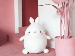 2019豬年除夕跨年祝福語(yǔ)合集 新年祝福語(yǔ)除夕說(shuō)說(shuō)