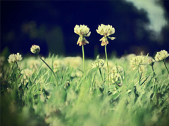 簡單美好的個(gè)性說說超級暖心 2019請多指教