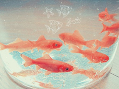 告別2018迎接2019的個性說說大全 2019最新充滿希望的勵志說說