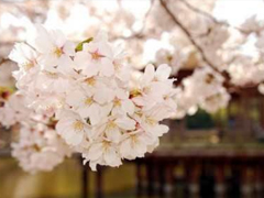 戀愛中寫給對(duì)象看的說說 2019最流行的情侶間情話真實(shí)浪漫