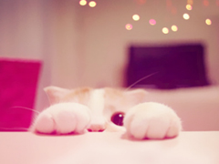 萌萌噠的可愛說說 惹人喜歡必評的可愛說說精選