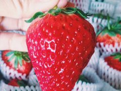 有關吃貨的朋友圈說說大全