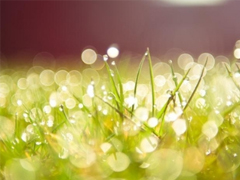 讓你爆笑的幽默有趣的句子 2019最流行搞笑說說逗比專屬