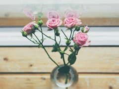 2019微信經(jīng)典說說心情短語 每個人必須了解的經(jīng)典句子