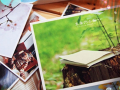 2019迎接三月份的說說陽光勵(lì)志 三月第一天發(fā)朋友圈的說說