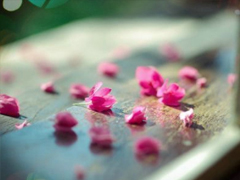 生活很現(xiàn)實(shí)的說說經(jīng)典句子 多些付出少些期待