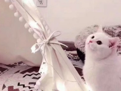 2018最近流行的個(gè)性說說簡短 哥哥我能踩在你的aj上親你嗎