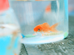 艾特自己的自嘲句子說說文字控 有關(guān)艾特自己的個(gè)性說說