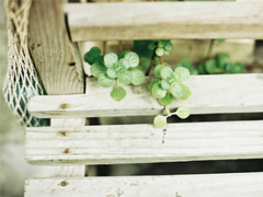 讓人溫暖的說(shuō)說(shuō)大全很有安全感 適合向女生表白的暖心說(shuō)話(huà)