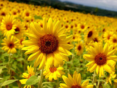 人生感悟說說剪短一點(diǎn)的 經(jīng)歷成長的經(jīng)典說說合集