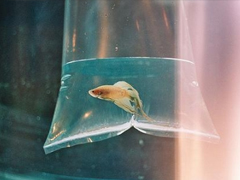 長(zhǎng)大了才會(huì)懂得的道理說(shuō)說(shuō) 幾年前你不懂現(xiàn)在懂得的道理大全