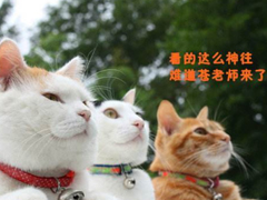 2018清明節(jié)搞笑說說：清明節(jié)應(yīng)該回小學(xué)初中掃掃墓，因為那里埋葬了你的青春。