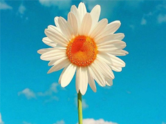 對(duì)愛情徹底死心的傷感說(shuō)說(shuō)2018 一句話讓人瞬間落淚的愛情說(shuō)說(shuō)