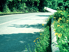 生活說說很現實的說說2018心情短語 穿透人心的說說簡短一句話