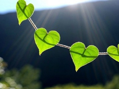 關(guān)于愛情很精辟很有哲理的一句話說說 既現(xiàn)實(shí)又有道理的愛情說說大全