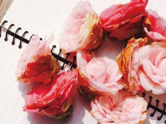 艾特自己的勵(lì)志說說2018最新版 適合艾特自己的說說很有道理