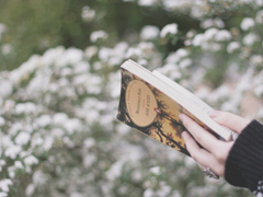 關(guān)于愛情很心酸的傷感說說 文藝范傷感愛情說說文字控喜歡的