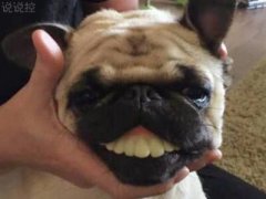 空間爆笑說說：謝謝那些曾經(jīng)擊倒我的人，躺著真的很舒服