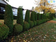 快手熱門(mén)搞笑段子，快手搞笑說(shuō)說(shuō)大全