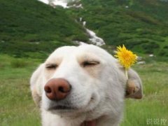 超級搞笑的說說，超級搞笑的段子