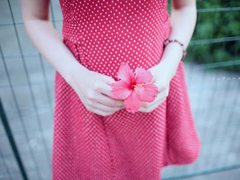 以后可以寫給男女朋友的情話說(shuō)說(shuō) 關(guān)于愛(ài)情戀愛(ài)的甜蜜情話說(shuō)說(shuō)