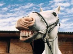 QQ搞笑說說段子：今晚，我托一只蚊子去找你，讓它替我親親你