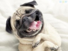 搞笑說說別人必贊：你現(xiàn)在補(bǔ)作業(yè)流的眼淚，是你浪的時(shí)候進(jìn)的水