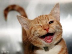 爆笑說說大全，爆笑笑話笑死人不償命