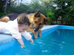 搞笑的說說句子心情：夢想還是要有的，不然哪天喝多了你跟人聊啥