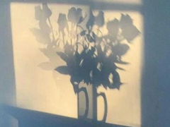 戀愛過程中的心酸和甜蜜的心情說說大全