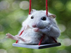 QQ空間惡搞說說：那些年錯過的大雨，請務必在軍訓時還給我