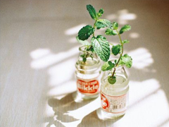 2019情人節(jié)朋友圈說(shuō)說(shuō)心情短語(yǔ) 抖音最火情人節(jié)說(shuō)說(shuō)大全