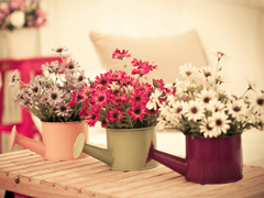 2019三月穿暖花開(kāi)的說(shuō)說(shuō)心情短語(yǔ) 三月來(lái)了微信唯美句子大全