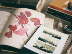 2019晚安說(shuō)說(shuō)致自己一句話 女生睡前發(fā)朋友圈的短句