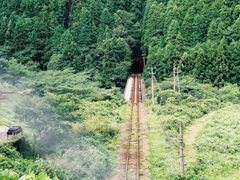 2019豬年過(guò)年的說(shuō)說(shuō)簡(jiǎn)單心情 溫暖有趣的微信過(guò)年說(shuō)說(shuō)