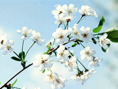 qq說說春天唯美小清新 春天的唯美短句子說說