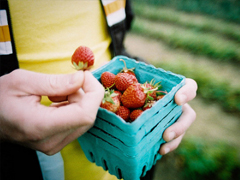 心里不痛快的說(shuō)說(shuō)有點(diǎn)想哭 感覺(jué)自己不容易的心情說(shuō)說(shuō)